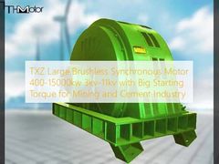 มอเตอร์ซิงโครนัสแบบไร้แปรงถ่าน TXZ ขนาดใหญ่ 400-15000kw 3kv-11kv พร้อมแรงบิดเริ่มต้นสูงสำหรับอุตสาหกรรมเหมืองแร่และซีเมนต์